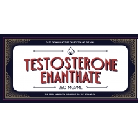 Testosterone Enanthate GMP Bones Line 250mg 10ml
