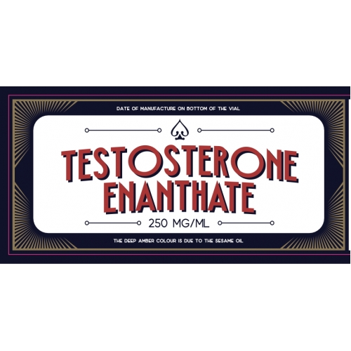 Testosterone Enanthate GMP Bones Line 250mg 10ml
