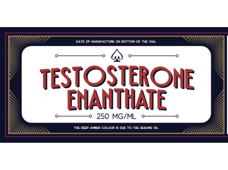 Testosterone Enanthate GMP Bones Line 250mg 10ml